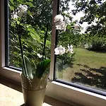 Ferienzimmer BlatnerS Bissersheim 3* Bissersheim