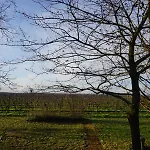 Hotell Gaestehaus Eschment Bissersheim