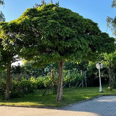 Gaestehaus Eschment Hotel Bissersheim