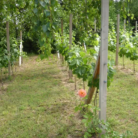 Hotel Gaestehaus Eschment Bissersheim