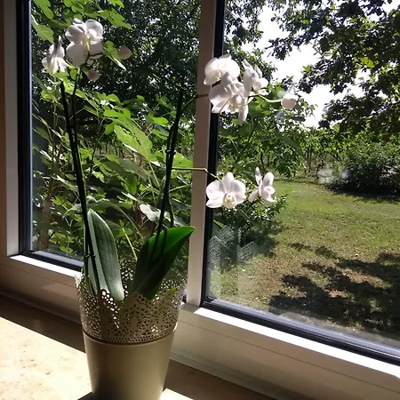 Ferienzimmer Blatners 3* Bissersheim