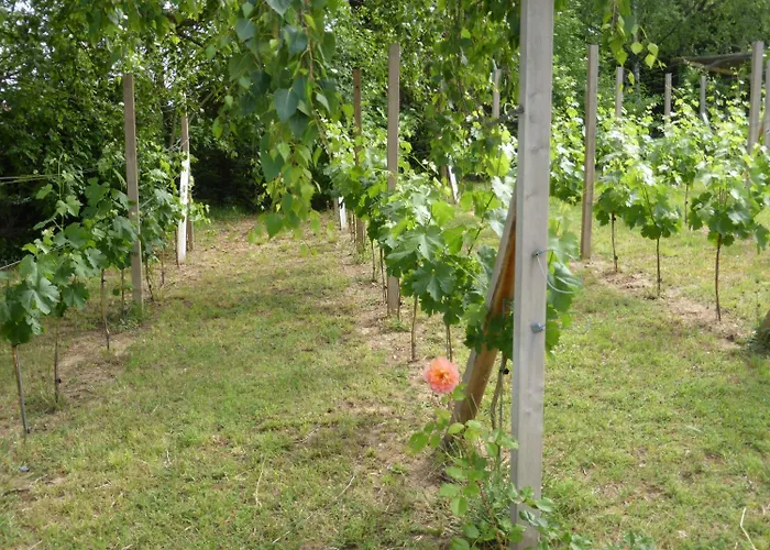 Hotell Gaestehaus Eschment Bissersheim