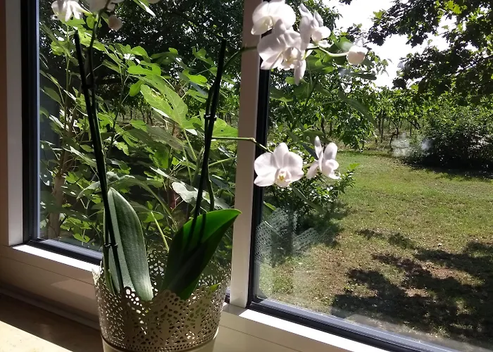 Gaestehaus Eschment 3* Bissersheim