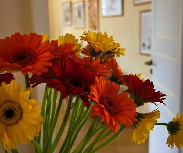 Hotell Gaestehaus Eschment